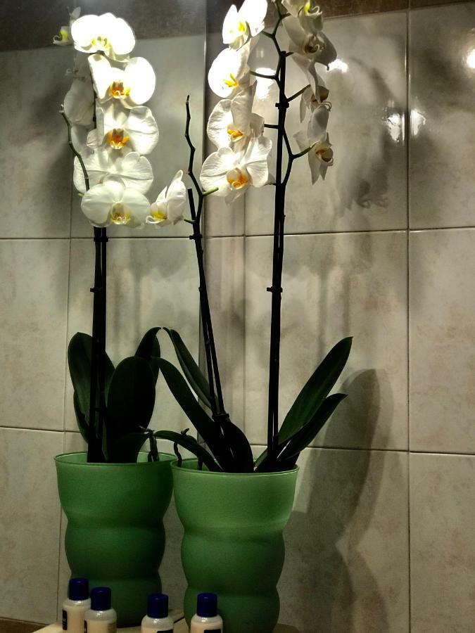Cute Flat - Best Price - Wi Fi - Ac - Tv Флоренция Экстерьер фото